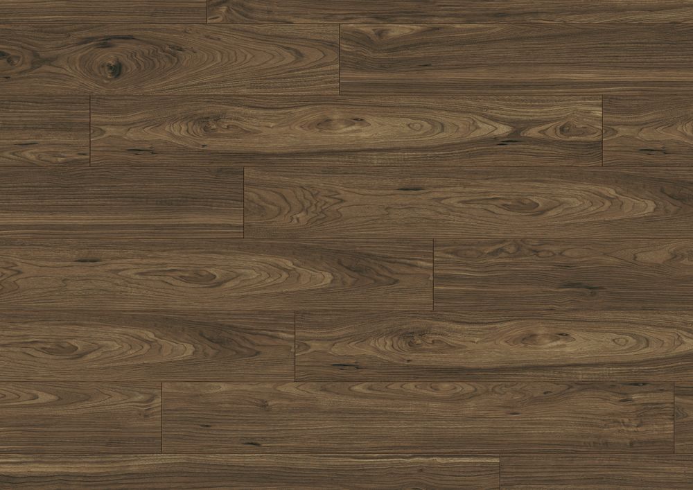 laminati Nussbaum Barcelona